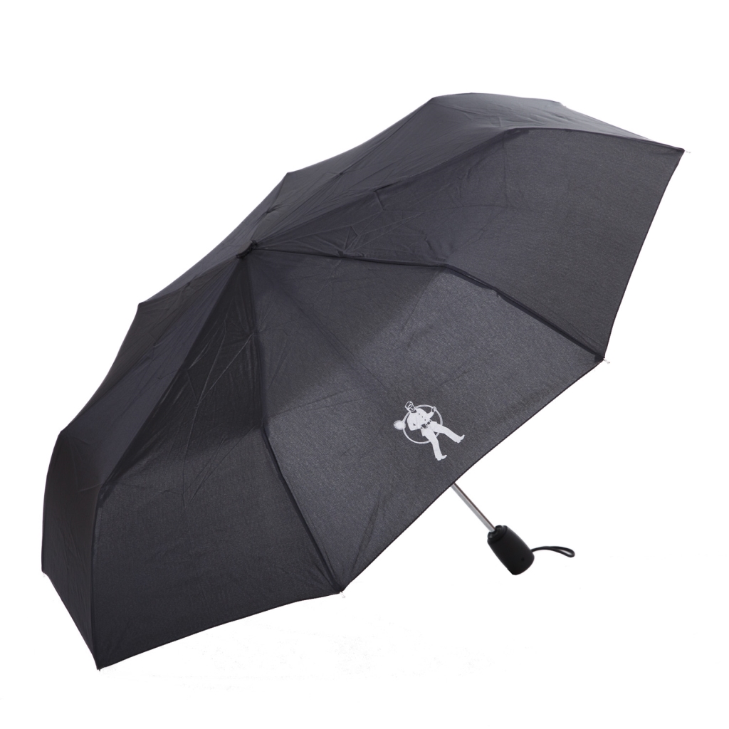 RFK Taschenschirm, Automatik Auf- und Zumachen (versch. Farben)