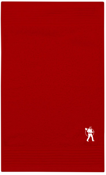 Gästehandtuch Classic 30x50cm mit RFK Stick